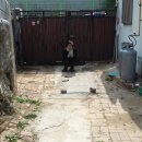 금강이용소