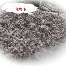 구민대학 노래교실 2012년 12월 보내면서... (회원님 께) 이미지