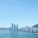 흰여울스시