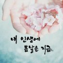 한성현콜라겐 이미지