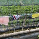 원규농장 이미지