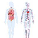 더 케이 짐 이미지