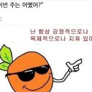 양철지붕위의고양이 이미지