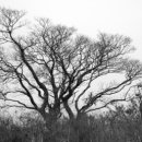 여운목장 이미지