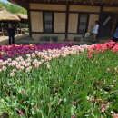 부천자연생태공원(식물원,박물관) 이미지