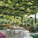 그늘막13 이미지