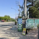 세미원 | 양평 근처 놀거리 세미원 방문 후기
