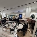 청구할인마트 | 신세계 강남점 부가부 드래곤플라이 최대 할인 꿀팁 내돈내산 (페어 5% + 임직원 20% + 상품권)