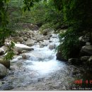 꾀꼬리봉 등산로 이미지