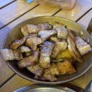 캠프오후4시 이미지