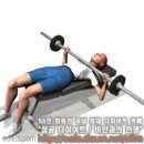 바벨 체스트 프레스 (Barbell Chest Press) 이미지