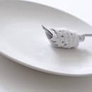 바른생활 다이어트 이미지