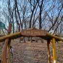 모담산 유아숲체험원 이미지