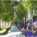 월전로 3 이미지