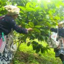 금화설비 이미지