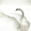 부산진구어린이청소년도서관 이미지