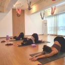 힐링 요가 A 이미지