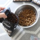 동물병원 이음 이미지