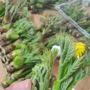 원순농장 이미지