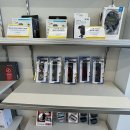 노박사카코팅 | 청주 자동차 튜닝 작업공간과 노브러쉬세차 | 카랜드앤카페알지 후기