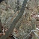 수리산 도립공원 이미지