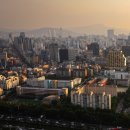 압구정-265 이미지