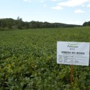 길림농장 이미지