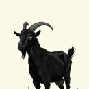 가온한의원 이미지