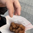 결벽증카케어 | [부산여행] 결벽증카케어