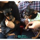 개털깎는남자 이미지