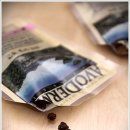 별이애견 이미지