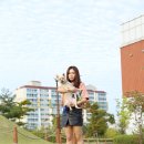 퍼피해븐 이미지