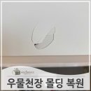 파주힐스테이트 1차 113동 앞 | 집에서골프하다깨진 천장 몰딩 복원