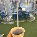 인동28길-6 | 구미 진평동 맛집 "연막창 진평인동점" 방문