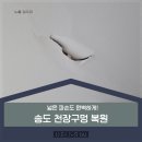 송도 천장구멍 복원, 넓은 파손도 완벽하게!