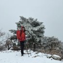 관악사 Daum카페
