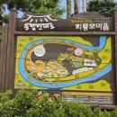 국수나무 예천점 | [경북 여행] 육지 속의 섬마을, 예천 '회룡포마을'과 옛 정취 가득한 '삼강나루' 당일치기 코스!