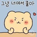 이시스케이크