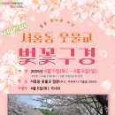 서홍동-13 네이버블로그