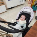 소담밥짐 이미지