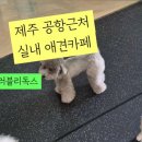 러블리 독스 이미지