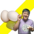 행운유정란 이미지