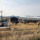 파스쿠찌 증평점 이미지