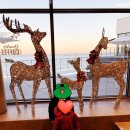 아이데코 정자점 이미지