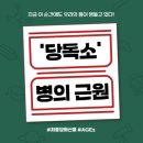 갤럭시 워치7에 측정 기능이 탑재 된 ‘당독소’에 대해 들어보셨나요?