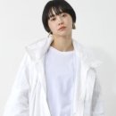 몬스터와이드