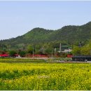 남미륵사 이미지