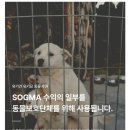 소그마 이미지