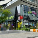 올리브영은행나무 | 포켓몬 메가페스타 성수 팝업 후기｜메타몽 놀이터·올리브영N 성수·서울숲 시크릿 포레스트 방문기