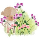 매송로 360번길 이미지